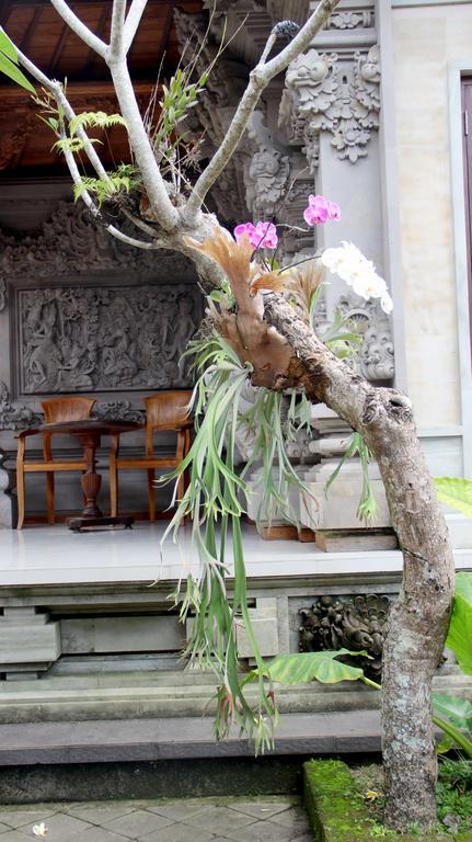 Dag Dig Dug Homestay Ubud Exterior foto